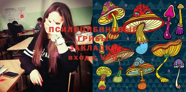 дмт Белокуриха
