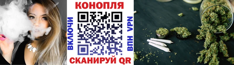 наркота  Малая Вишера  Шишки марихуана план 
